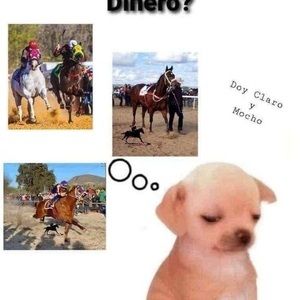 Meet your Posher, Samanta